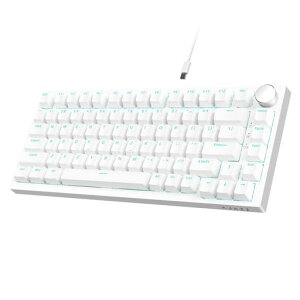 A.JAZZAK820�L�����J�j�J���L�[�{�[�h��75%82�L�[�R���p�N�g�Q�[�~���O�L�[�{�[�h�z�b�g�X���b�v�Ή��S�[�X�g�h�~Gasket�\���o�b�N���C�g�t���u���[���C�m�u�t��USB�ڑ�DIY�L�[�{�[�h���S�c