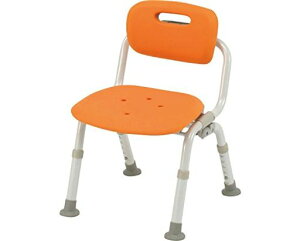 V[`FA[NA]RpNg^b`肽NPN-L41421DIW