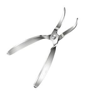 YBGGJOsZbgXeXLb`nT~Lb`c[pXp֗g₷Lb`pi