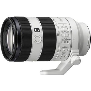SONY(\j[)]Y[YtTCYFE70-20mmF4MacroGOSSIIGYfW^J[E}Eg]pYSEL70200G2