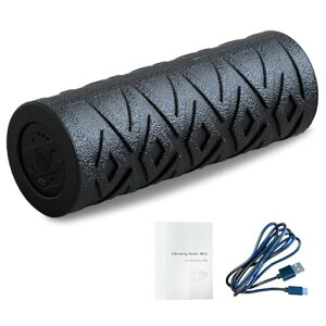 y{[J[zuFitVibratingRollerMinidtH[[[~jɂȂׂa10.5cm̓vAX[gJpUx4iKEPPg