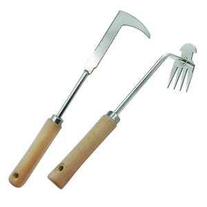 ZERONOWA葐G蓹l{ܕЎLLԑ芙G(x[W)