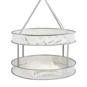 ThujopsislbglbgZ[^[lbg؊1i2ia45cm(2i)