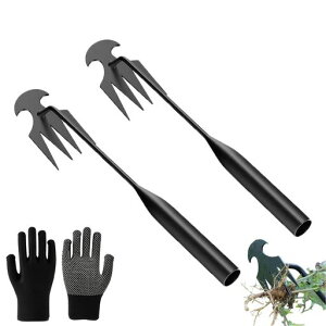 蓹F42{Zbg|pi@N背[LLbgXeXyʎGc[̃eiX̑p(蓹2{+|p1g)