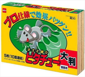 Zn[WplY~߂s^`[USV[g唻Ɩp5(10ʘA)TKTBR-030019