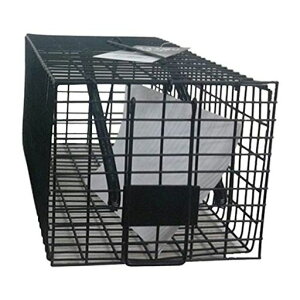 �l�Y�~�߂�p�^(��)�u���b�N