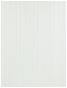 gXRR(TRUSCO)ɏՃtH[JbgV[g^CvzCg300x400mm100TBFC3040