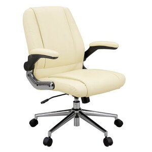 ։Ƌ(Sekikagu)fXN`FAIˏグbLO@\t璣N[F}l[Wg`FA184238