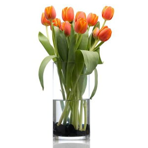 LanQiiԕrȂPETANVvi傫~^CeAԊ퐅͔|Ԏ}ԗpArOAQAItBXȂǂ̑ɓKĂ܂(a12cm40cm)