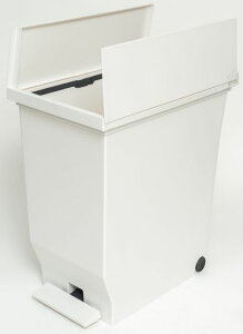 AXxS~40LJy_LX^[tAZLb`JE^[[S~ʊωJȃXy[XeʉqIfXNTChrOCeAzCg