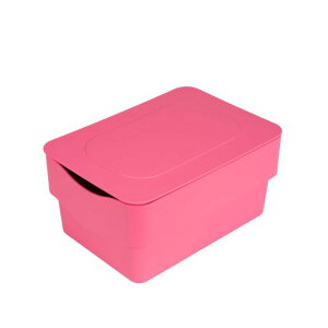 ACRNV[P[XdȂSTCY{Wt[JSꂩ킢sN^IrOᏑޏ{bNXX^bNStoragecaseMtgv[gjX^bNXgbN