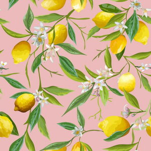 VEELIKEǎNXsNʕǎV[CNV[gJbeBOV[gӂ܂ɓ\锍ǎ\邾ׂ݂̂ǎւŊȒPhϔM蓧c