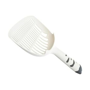 RoczentialLVxLgCVxLpgCVxLgCpipiLpVx(ZD)