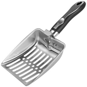 CHASOLXRbvXeXЂtbNtׂp䕝L傫Vx