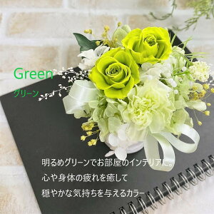 vU[uht[ av[g ̓ ̓ j oYj hV̓ JXj  ސE  RpNg J[l[V 20 30405060