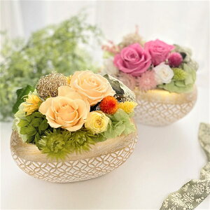 a vU[uht[@av[g j LO j CeA Ď P hV̓ JXj JƏj a_ ~ F̂