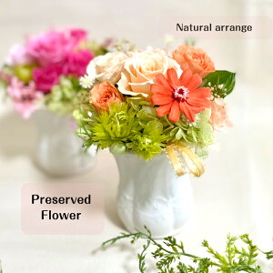 vU[uht[ ̓ av[g j oYj hV̓ JXj  ސE LO 20 30 40 50 60 