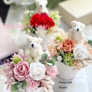 a vU[uht[ av[g LO j oYj CeA N} efBxA JXj  ސE ̓   ʂ  20 30 40 50 hV