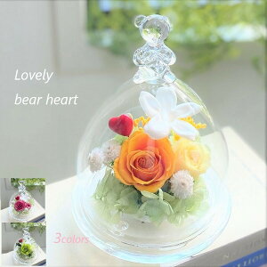 avU[uht[bear vU[uht[ KXh[̓Mtg av[g ̓Mtg j oYj LO ԃMtg ̓v[g hV̓ z