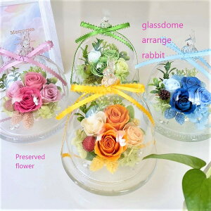 a v[g vU[uht[ KXh[  j j oYj hV̓   CeA  ӃMtg JXJƏj ETM  