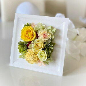 Ǌ|vU[uht[ av[g ̓ ̓Mtg j LO JX JƏj CeA j Ê P Ďj Ǌ| ސEj Ebh