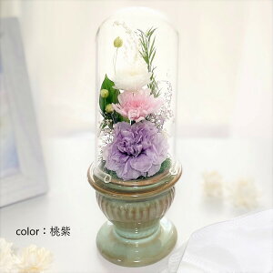 ԂƂZbgvU[uht[ `a킩`  ]   @v @ ~ ~ ފ݉  ފ  d  O O RpNg ~jd