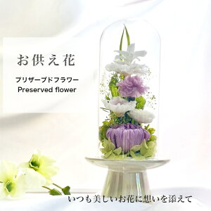  ފ݁``  ]   @v @ ~ ފ݉  ފ  d  O O d