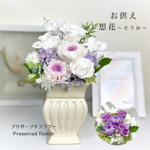  ~zԂ` ]   @v @ ~ ~ ފ݉  ފ  l\  d̉