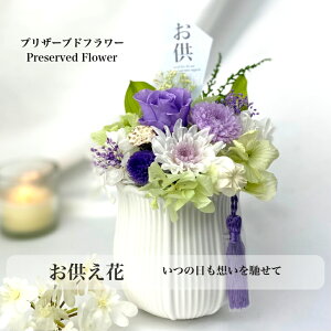  `D䂤`  @ ]   @v @ ~ ~ ފ݉  l\  d̉