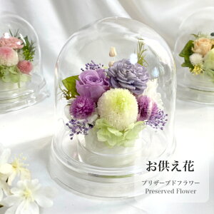  ]   @v @ ~ ~  ފ d  O O RpNg h[^