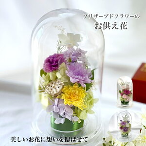  vU[uht[ e@ ~ ~ h[^   @v @ ~ ~ ފ݉  ފ  l\  d  O O 