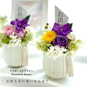 vU[uht[  ]   j[ @v @ ~ ~ ފ݉  ފ  l\  d̉ RpNgd