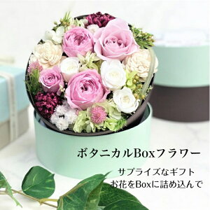 av[g  {bNXt[ j oYj LO vU[uht[ Nj  hV̓ CeA  ӃMtg zCgf[