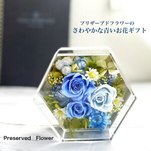 vU[uht[  av[g j oYj hV̓ JXj  ސE j zCgf[ 20 30 40 50 60   j