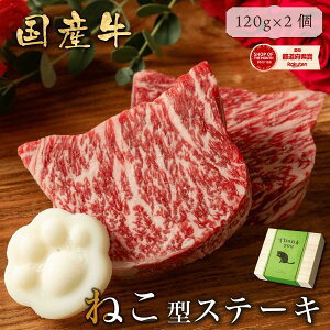a IWiёII v[g Mtg yzwz˂^ Xe[L (120g×2)  Mtg Y јa m L LD LO _炩 Ⓚۑ a