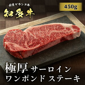 bZ[WJ[hI m Ɍ |hT[CXe[L 450g~  Y uh   Xe[L BBQ 蕨 i v[g Mtg