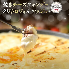 母の日 【月間優良ショップ受賞】チーズフォンデュ ポンテ イタリア バル ポンテ 名物焼きチーズフォンデュ クワトロフォルマッジョ BBQ バーベキュー パーティー アウトドア 冷凍お届け お返し