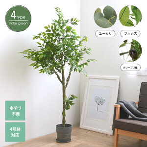 11/21()18:00`ő2000~OFFN[|zz ϗtA tFCNO[ lHϗtA CeAO[  4 sv CeA A  Vv ^  ItBX 