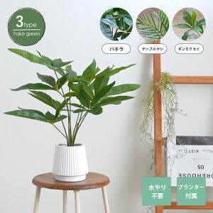 11/15(y)I1000~OFFN[|zz ϗtA tFCNO[ lHϗtA CeAO[  t sv CeA A  Vv ^   ItB