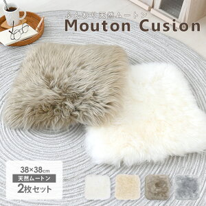 11/8(y)00:00`N[|zz NbV  2Zbg zc ֎q g V[gNbV k ۉ ₦΍ [g VRf 킢 є At@[   r