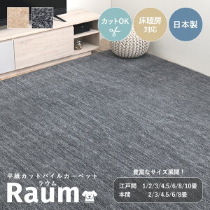 ラグ おしゃれ 日本製 カーペット 床暖房対応 フリーカット 本間 江戸間3畳 2畳 4.5畳 6畳 8畳 10畳 1畳 北欧 長方形 正方形 タフトカーペット 絨毯 ラグマット リビング <平織カットパイルカー