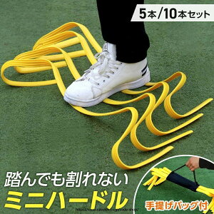 小学生陸上競技大会練習 綾部市立西八田小学校