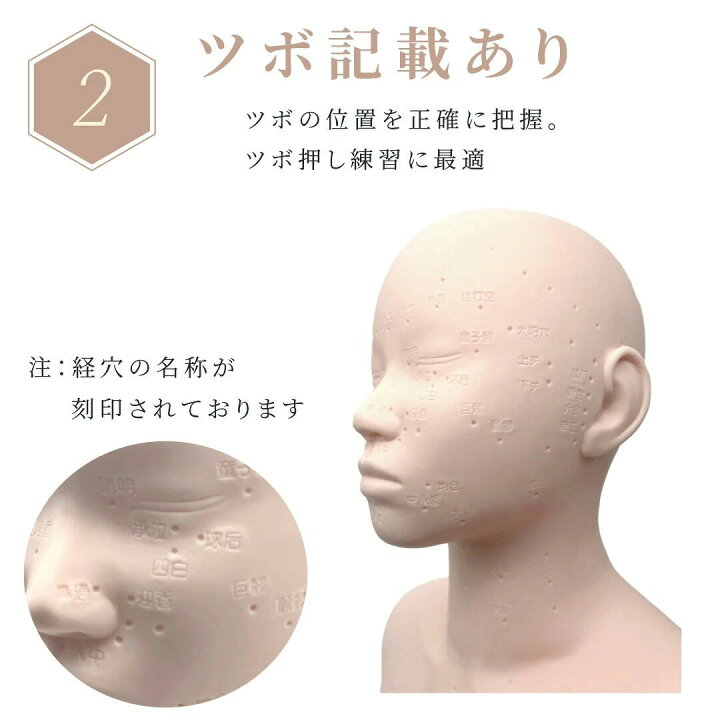 楽天市場】マネキン 頭 ヘッド デコルテ フェイスマネキン マッサージ 