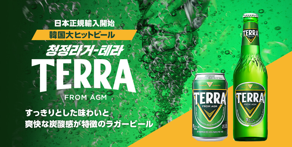 韓国 TERRA ビール 缶 350ml 24本 眞露 JINRO 韓国ビール テラ