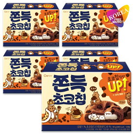 CW 餅チョコチップ 90g(5P) 5個セット / チョンウ もちもち チョコチップ 韓国お菓子
