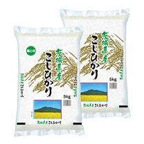 楽天市場】兵庫県産コシヒカリ10kg 送料無料の通販