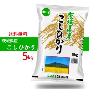 yGg[Ń|Cg10{zߘa6NY 錧Y RVqJ 5kg   iA͏)