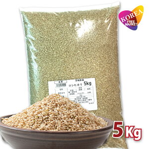 V ߘa7NY 錧Y Ђ  5kg  ĉ (A͏) V  Mtg Q}C 