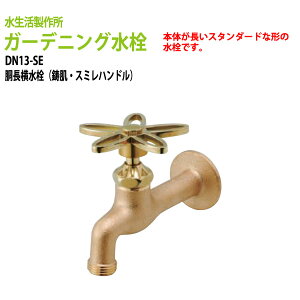 K[fjO  ֌  X~nh DN13-SE (kC  )