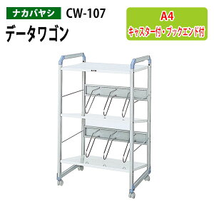 f[^S t@CS CW-107 60×s47.2×100cm (kCEE) ItBXS iJoV